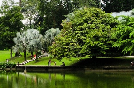 The lake in Dublin's National Botanical Gardens