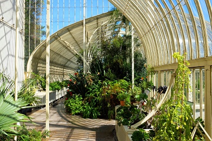 Turner Corveliner Field at Dublin's National Botanical Gardens