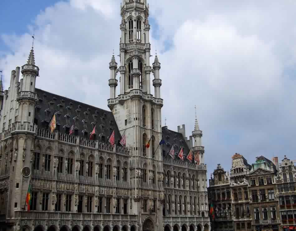 1581308733 545 The 5 best activities in the Grand Square in Brussels - The 5 best activities in the Grand Square in Brussels, Belgium