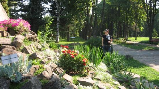 Bucharest Botanical Garden, Romenia