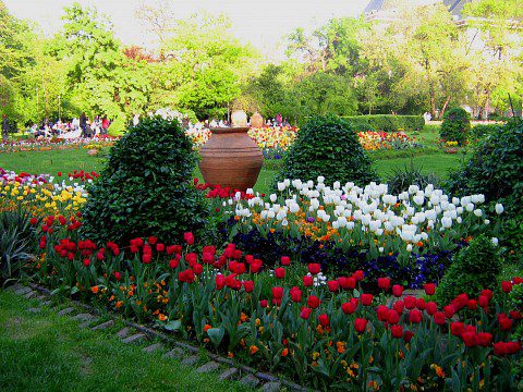 The 6 best activities in the Cismigiu Bucharest park
