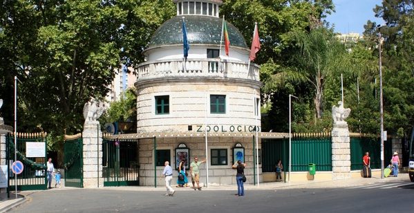 The 4 best activities at Lisbon Zoo Portugal
