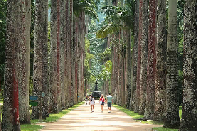 Rio de Janeiro Park in Brazil