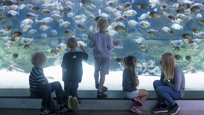 National Aquarium - Denmark