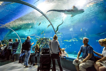 National Aquarium - Denmark