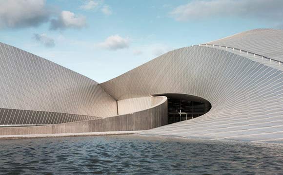 The 4 best activities in the National Aquarium in Denmark
