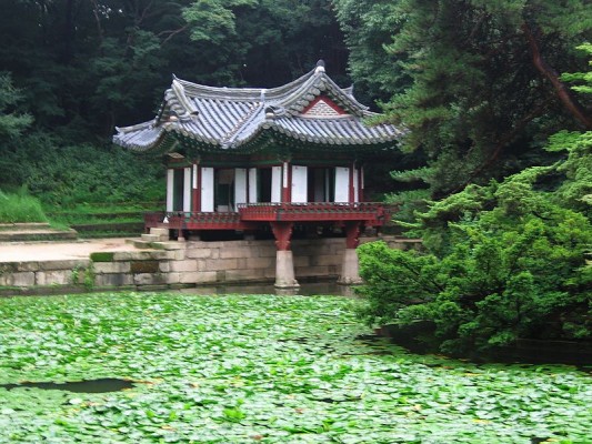 Changdok Palace is one of the best tourist places in Seoul, South Korea