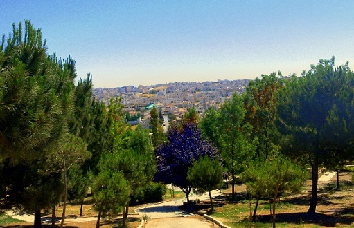 The green nature of King Hussein Gardens in Amman