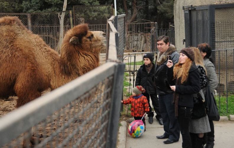 Baku Zoo