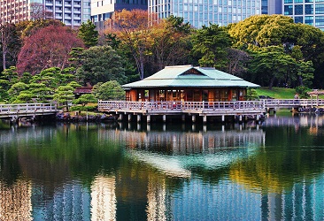 Hamarikyu Gardens Cafe in Tokyo