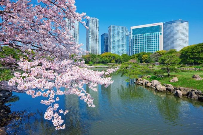 Lake Hamarikyu Gardens in Tokyo