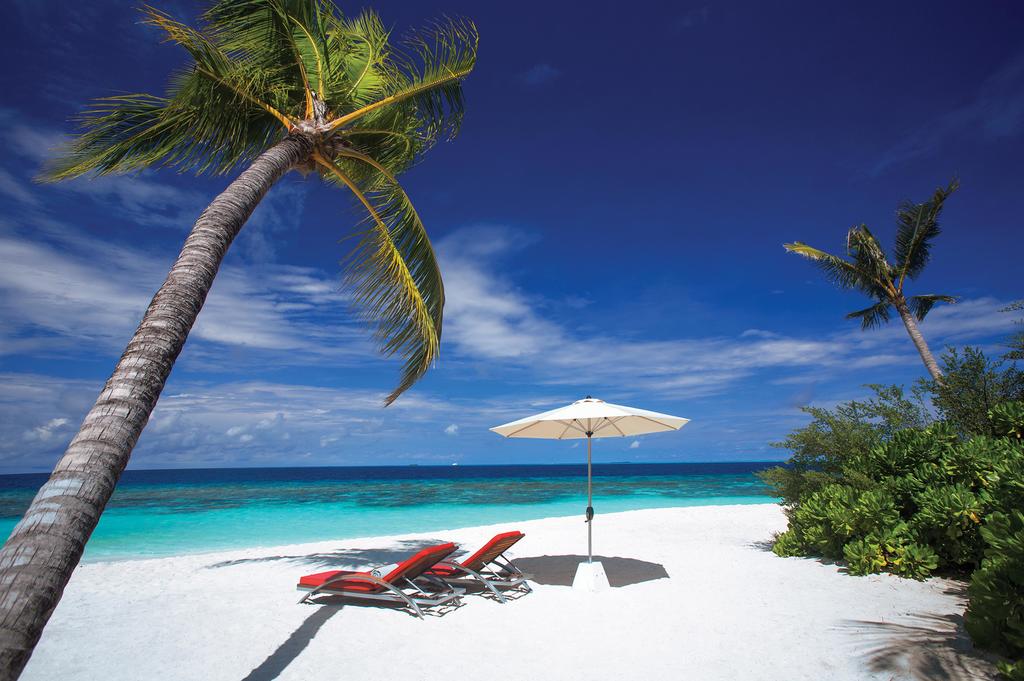 Maldives honeymoon offers