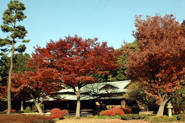 Fukiag Garden in Tokyo Imperial Palace