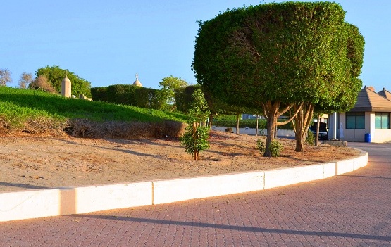 A tour of the green island in Kuwait