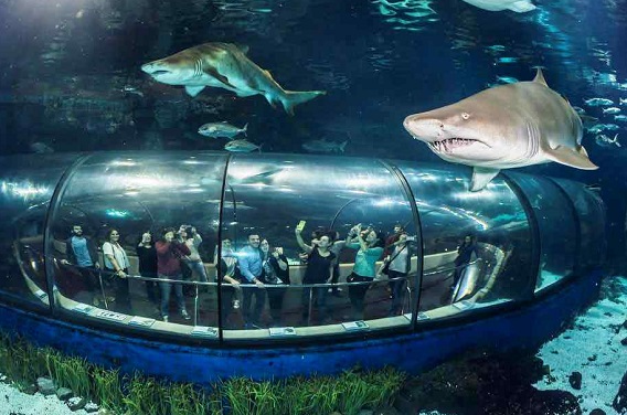 Barcelona Aquarium tunnel in Spain