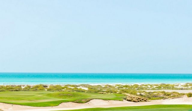 1581333024 319 The best 7 activities on Saadiyat Beach Abu Dhabi - The best 7 activities on Saadiyat Beach Abu Dhabi