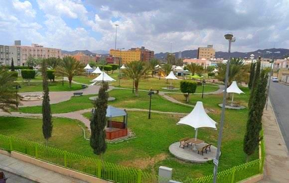 1581333314 972 The 6 best activities in Al Faisaliah Park in Taif - The 6 best activities in Al Faisaliah Park in Taif