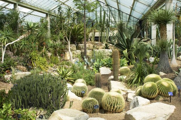 1581333424 532 The 8 best activities in the Royal Kew Botanic Gardens - The 8 best activities in the Royal Kew Botanic Gardens London