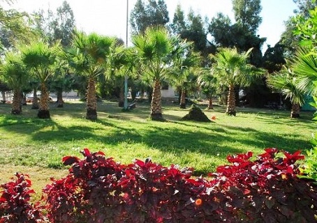 Picnic areas in the King Faisal Park in Taif