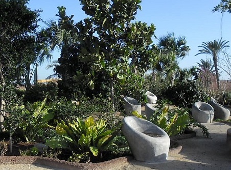 Crocodile garden breaks in Agadir