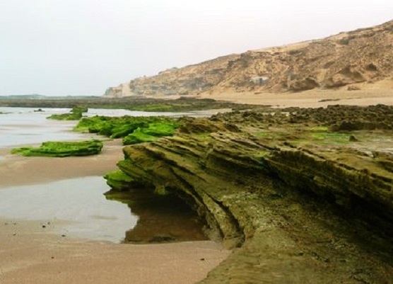 Beaches of the Souss-Massa National Park in Agadir