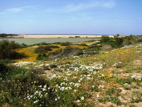 Tour of the Souss-Massa National Park, Agadir