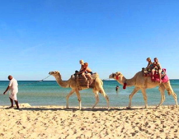 Camel rides at Aquapark Flipper Park beach in Hammamet