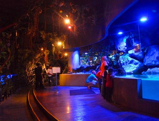 The Aquarium of Exploration in Aquaria Kuala Lumpur, Malaysia
