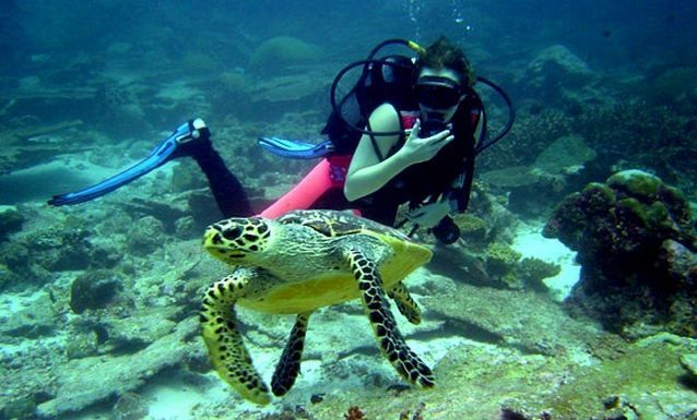 Divers Down Diving Center in the United Arab Emirates Fujairah
