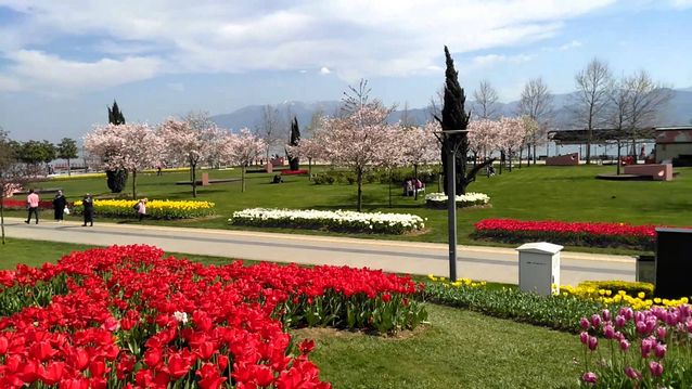 Sika Park in Izmit, Turkey