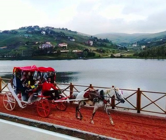Tour of the horse carriage in the highlands of Barshamba in Ordu
