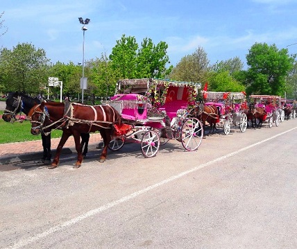 Horse carriages in the East Park in Samsun