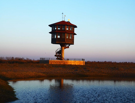 Paradise for birds is one of the most beautiful places of tourism in Samsun, Turkey