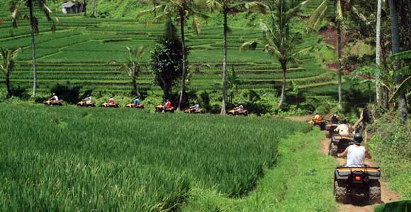 Bali rice farmer