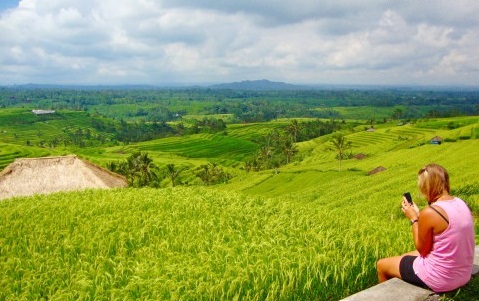 Graded farmland - Bali