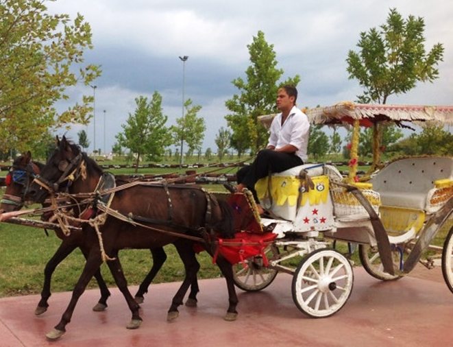 Horse carts in the Samsun Cable Car