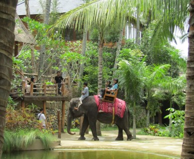 Elephant Park in Lombok - Indonesia