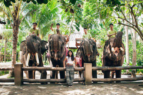 The best 4 activities in Elephant Park in Lombok