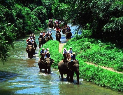 Elephant tour of Krabi hot springs in Krabi