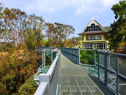 The Top 7 Activities Bridge at Queen Sirikit Botanical Garden in Chiang Mai, Thailand