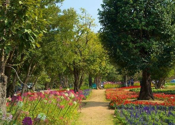 A tour of the 7 best activities at Queen Sirikit Botanical Garden in Chiang Mai, Thailand