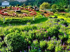 7 best activities in the Queen Sirikit Chiang Mai Botanical Garden
