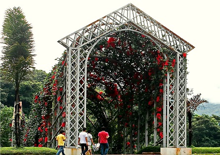 White Flower Garden in the 7 best activities in the Queen Sirikit Botanical Garden in Chiang Mai, Thailand