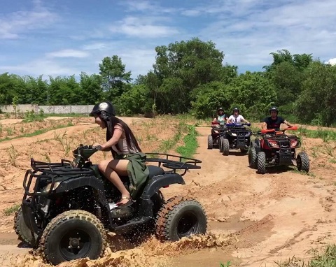 Jeep tour of Elephants in Pattaya