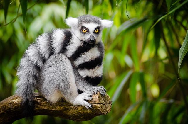 Frankfurt Zoo is one of the most beautiful parks in Frankfurt