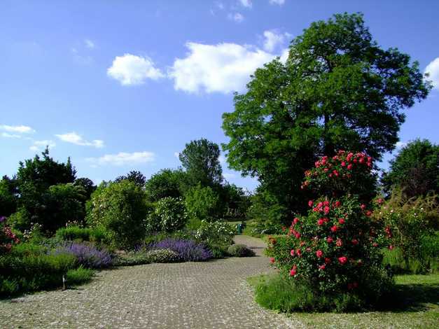 Dusseldorf Botanical Garden is one of the best tourist places in Dusseldorf, Germany