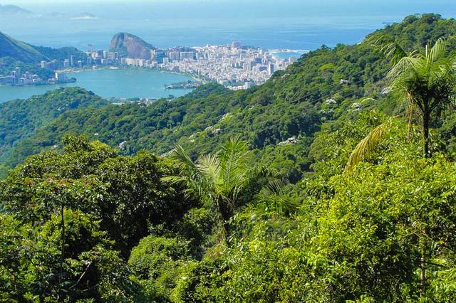 Tijuca National Park in Rio de Janeiro is one of the best parks in Rio de Janeiro