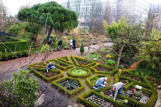 The Hortus Botanics Amsterdam is one of the best parks in Amsterdam
