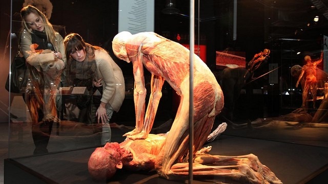 The human body world museum is one of the best museums in Amsterdam
