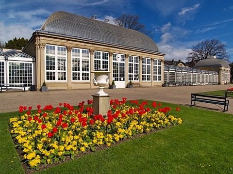 Top 4 activities in Sheffield Botanical Gardens